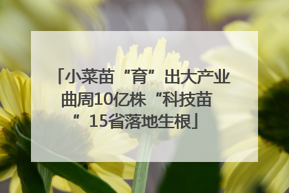 小菜苗“育”出大产业 曲周10亿株“科技苗”15省落地生根