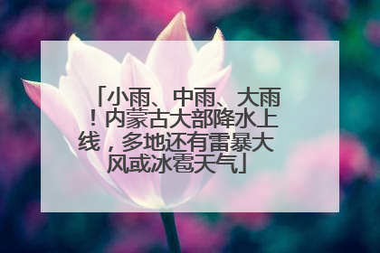 小雨、中雨、大雨！内蒙古大部降水上线，多地还有雷暴大风或冰雹天气