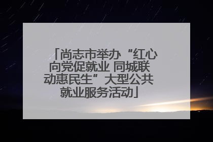 尚志市举办“红心向党促就业 同城联动惠民生”大型公共就业服务活动