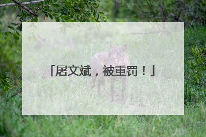 屠文斌，被重罚！