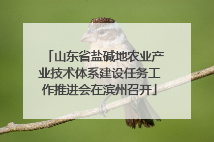山东省盐碱地农业产业技术体系建设任务工作推进会在滨州召开