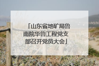 山东省地矿局鲁南院华鲁工程党支部召开党员大会
