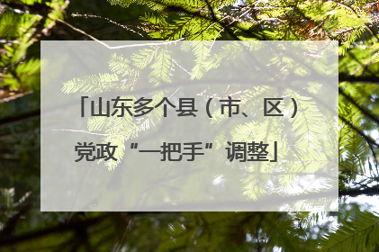 山东多个县（市、区）党政“一把手”调整