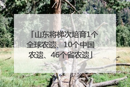 山东将梯次培育1个全球农遗、10个中国农遗、46个省农遗