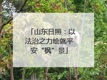 山东日照：以法治之力绘就平安“枫”景