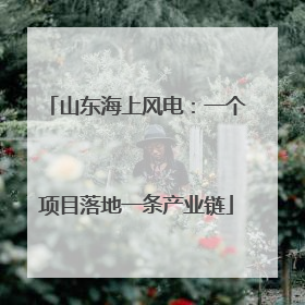 山东海上风电：一个项目落地一条产业链