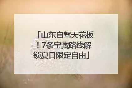 山东自驾天花板！7条宝藏路线解锁夏日限定自由