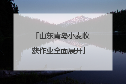 山东青岛小麦收获作业全面展开