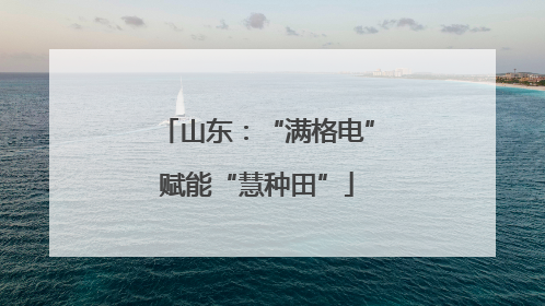 山东：“满格电”赋能“慧种田”