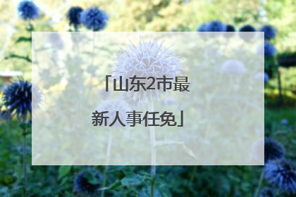 山东2市最新人事任免