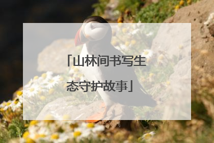 山林间书写生态守护故事