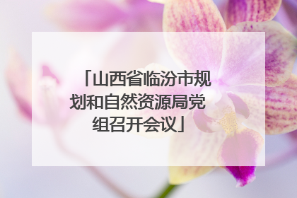 山西省临汾市规划和自然资源局党组召开会议