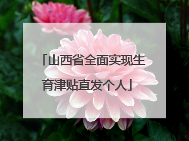 山西省全面实现生育津贴直发个人