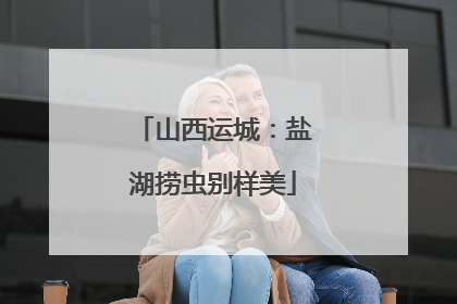 山西运城：盐湖捞虫别样美