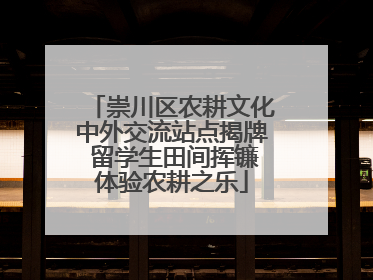 崇川区农耕文化中外交流站点揭牌 留学生田间挥镰体验农耕之乐
