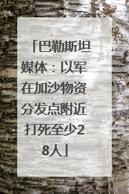 巴勒斯坦媒体：以军在加沙物资分发点附近打死至少28人