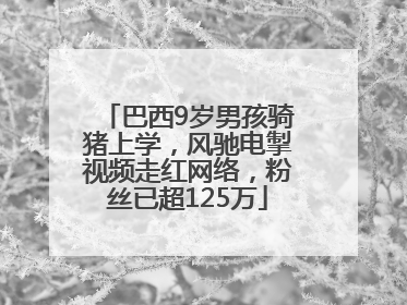 巴西9岁男孩骑猪上学，风驰电掣视频走红网络，粉丝已超125万