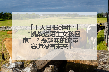 工人日报e网评丨“挑战送陌生女孩回家”？恶趣味的流量赛道没有未来