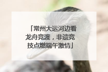 常州大运河边看龙舟竞渡，非遗竞技点燃端午激情