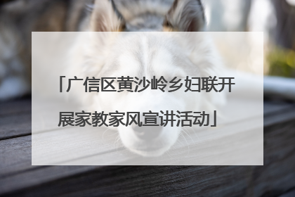广信区黄沙岭乡妇联开展家教家风宣讲活动