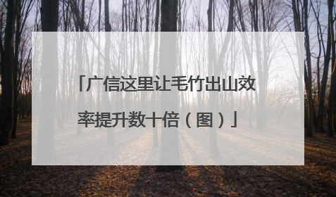广信这里让毛竹出山效率提升数十倍（图）