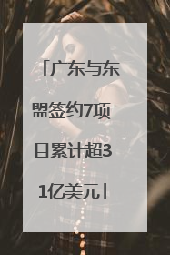 广东与东盟签约7项目累计超31亿美元