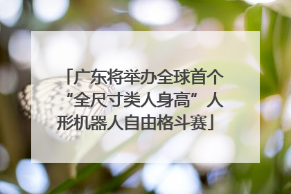 广东将举办全球首个“全尺寸类人身高”人形机器人自由格斗赛