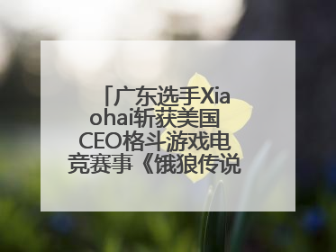 广东选手Xiaohai斩获美国CEO格斗游戏电竞赛事《饿狼传说》项目冠军