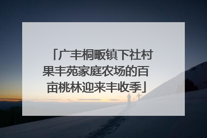 广丰桐畈镇下社村果丰苑家庭农场的百亩桃林迎来丰收季