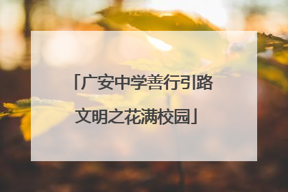 广安中学善行引路 文明之花满校园