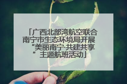 广西北部湾航空联合南宁市生态环境局开展“美丽南宁·共建共享”主题航班活动