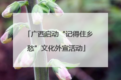 广西启动“记得住乡愁”文化外宣活动