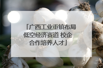 广西工业重镇布局低空经济赛道 校企合作培养人才
