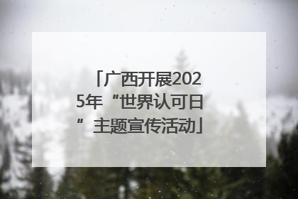 广西开展2025年“世界认可日”主题宣传活动