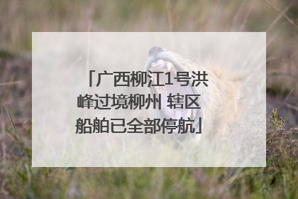 广西柳江1号洪峰过境柳州 辖区船舶已全部停航