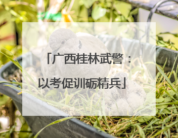 广西桂林武警：以考促训砺精兵