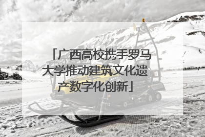 广西高校携手罗马大学推动建筑文化遗产数字化创新