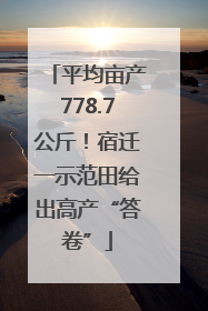平均亩产778.7公斤！宿迁一示范田给出高产“答卷”