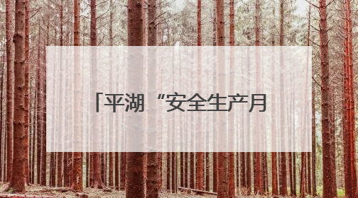 平湖“安全生产月”活动正式启动，全民共筑安全防线