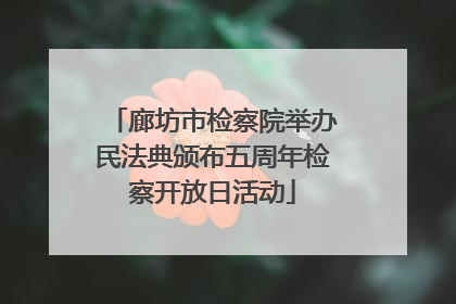 廊坊市检察院举办民法典颁布五周年检察开放日活动
