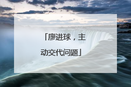 廖进球，主动交代问题
