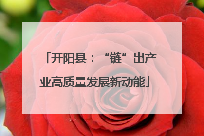 开阳县：“链”出产业高质量发展新动能