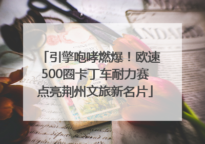 引擎咆哮燃爆！欧速500圈卡丁车耐力赛点亮荆州文旅新名片