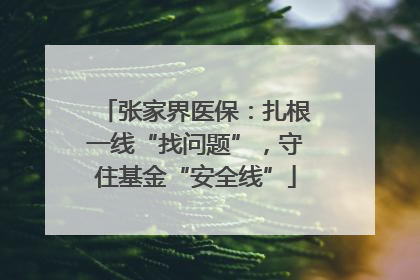 张家界医保：扎根一线“找问题”，守住基金“安全线”
