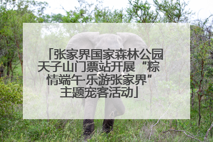 张家界国家森林公园天子山门票站开展“粽情端午·乐游张家界”主题宠客活动