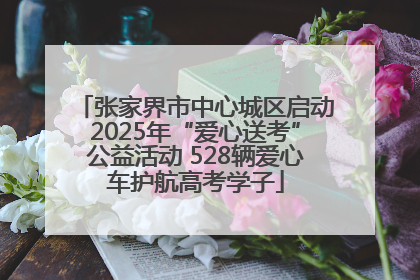 张家界市中心城区启动2025年“爱心送考”公益活动 528辆爱心车护航高考学子