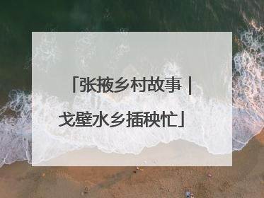 张掖乡村故事｜戈壁水乡插秧忙