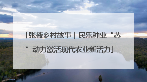 张掖乡村故事｜民乐种业“芯”动力激活现代农业新活力