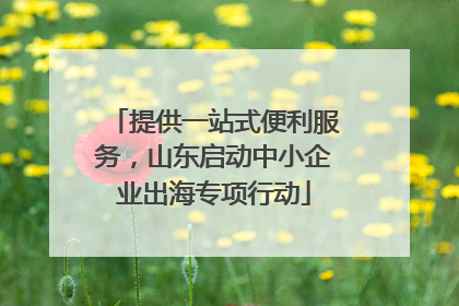 提供一站式便利服务，山东启动中小企业出海专项行动