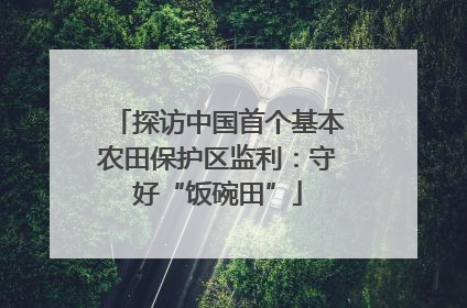 探访中国首个基本农田保护区监利：守好“饭碗田”